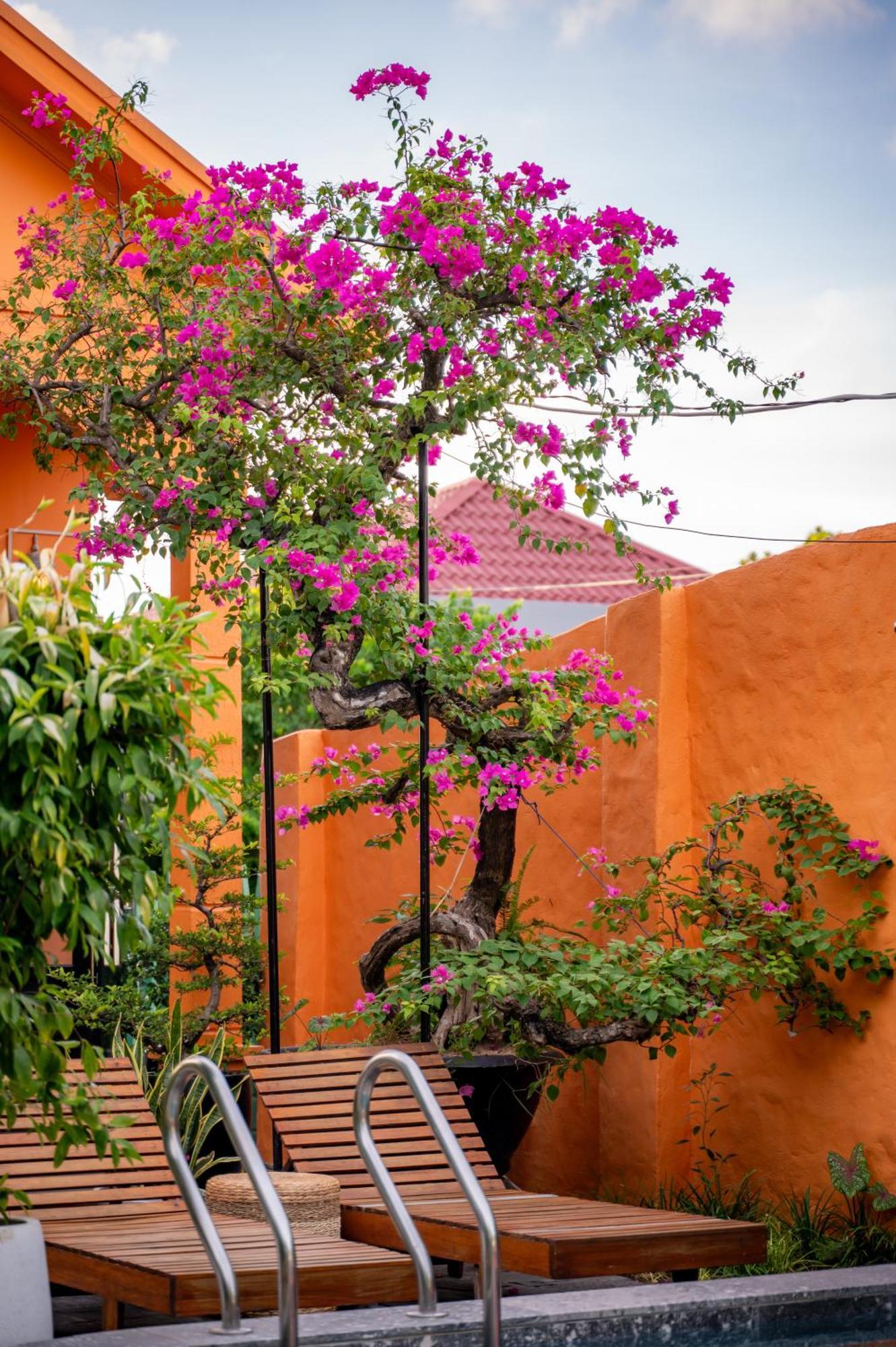 Alana Homestay Hoi An Luaran gambar